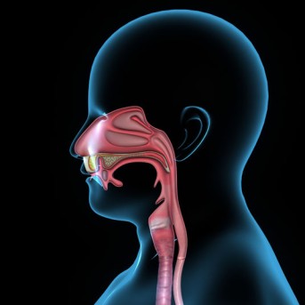 Mandibular Labial Frenectomy by OrangeCountySurgeons.org - 2